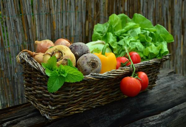 Gemüsekorb_congerdesign-Pixabay